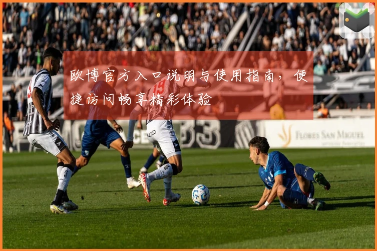 欧博官方入口说明与使用指南，便捷访问畅享精彩体验