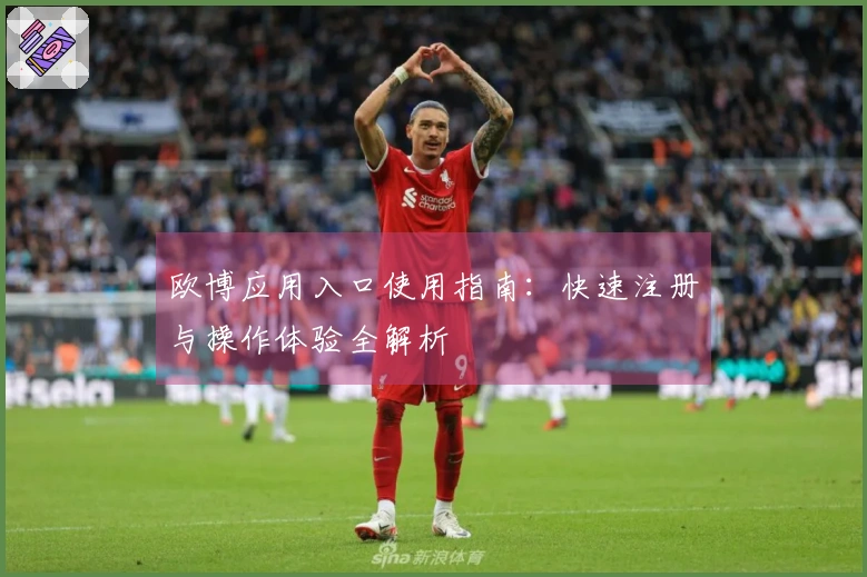 欧博应用入口使用指南：快速注册与操作体验全解析